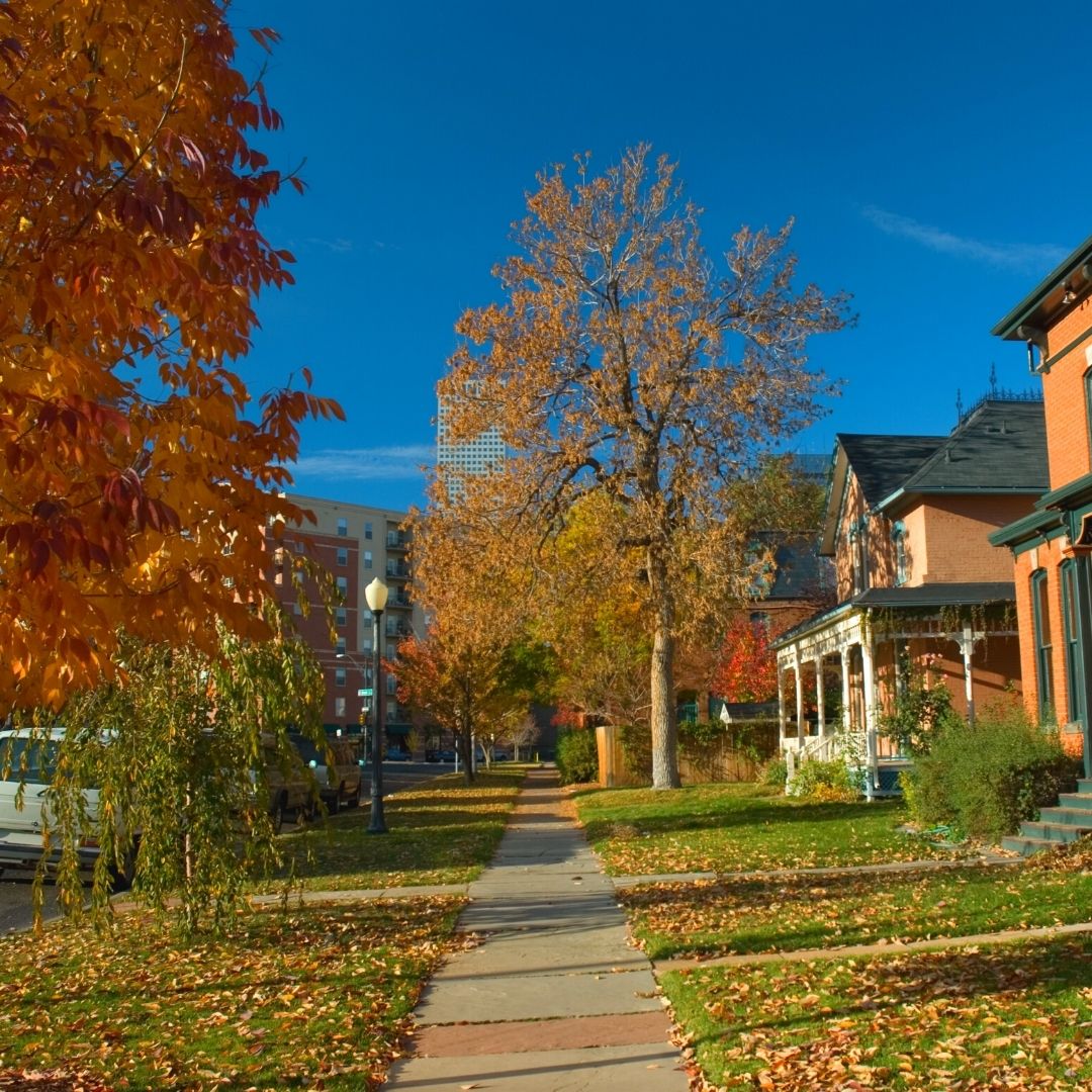 Denver Sidewalk