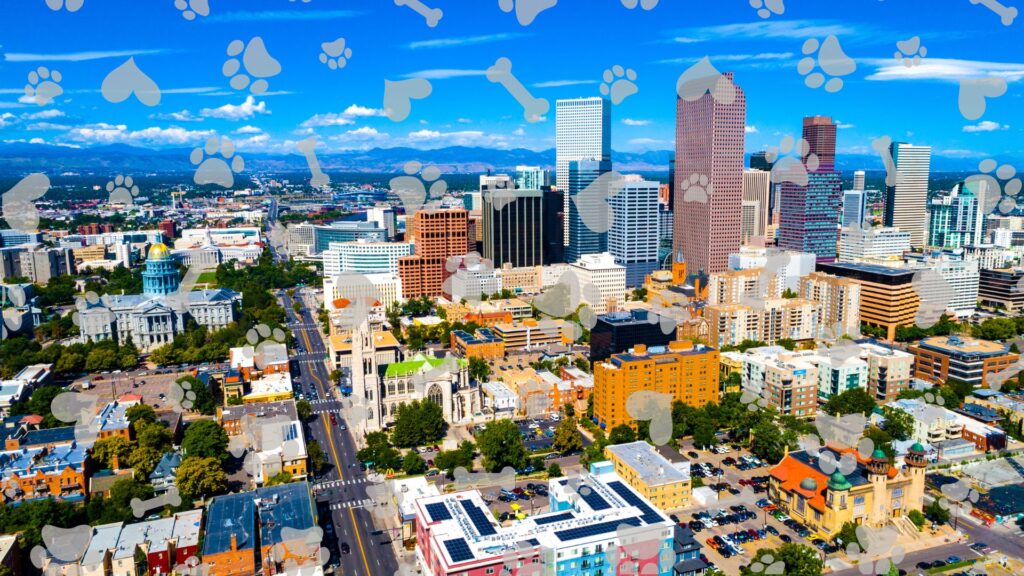 Denver’s Dog -First Culture Grows—Is Your Home Keeping Up Sustainable Design Build Denver home addition home builder denver local skyline
