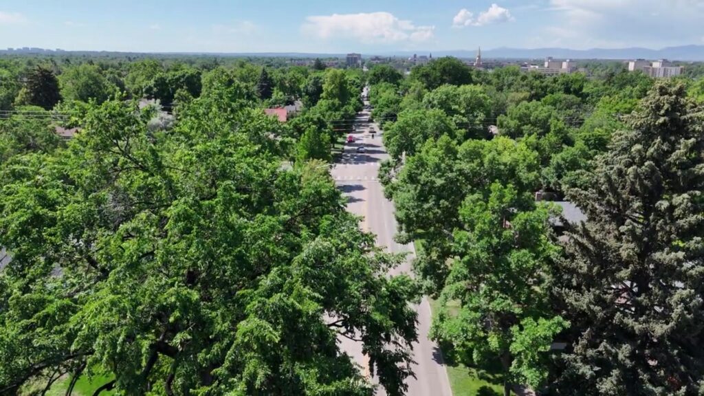 Bonnie Brae Tavern Torn Down For New Multifamily Development - Sustainable Design Build
