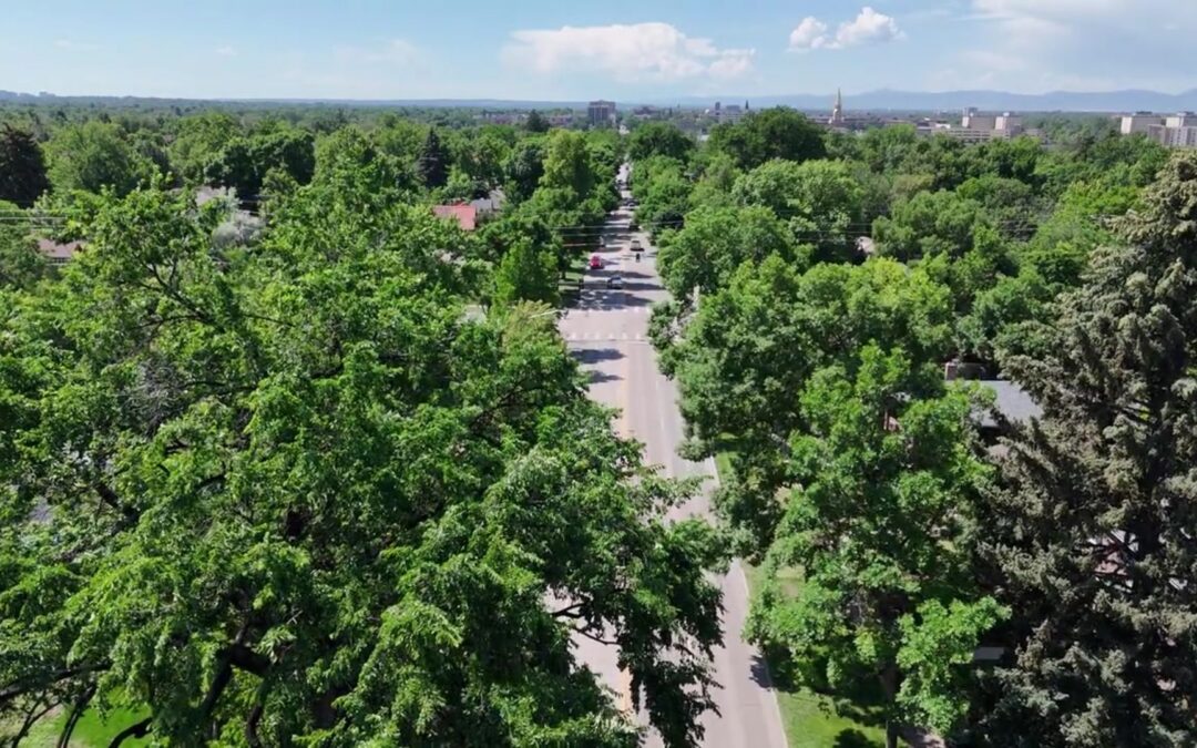 Bonnie Brae Tavern Torn Down For New Multifamily Development