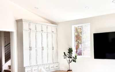 Custom Cabinets Go Beyond Kitchens