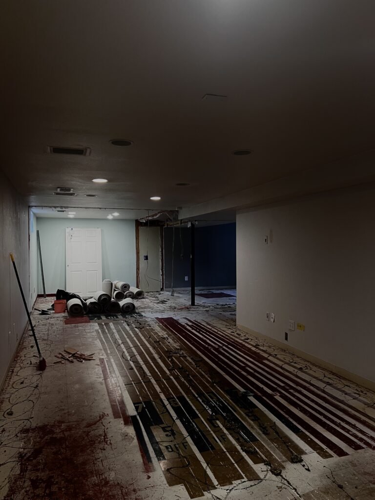 dark basement remodel home renovation in denver before finish carpentry