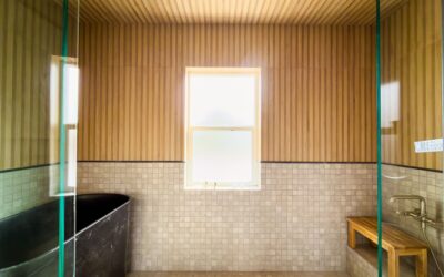 Beyond the Guest Suite: Unique Functional Rooms for a Denver ADU